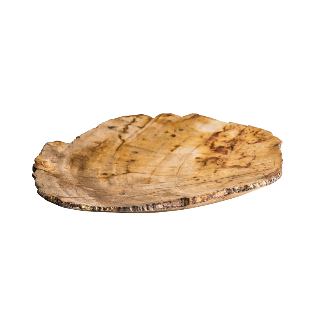 Centro de mesa de madera fosilizada